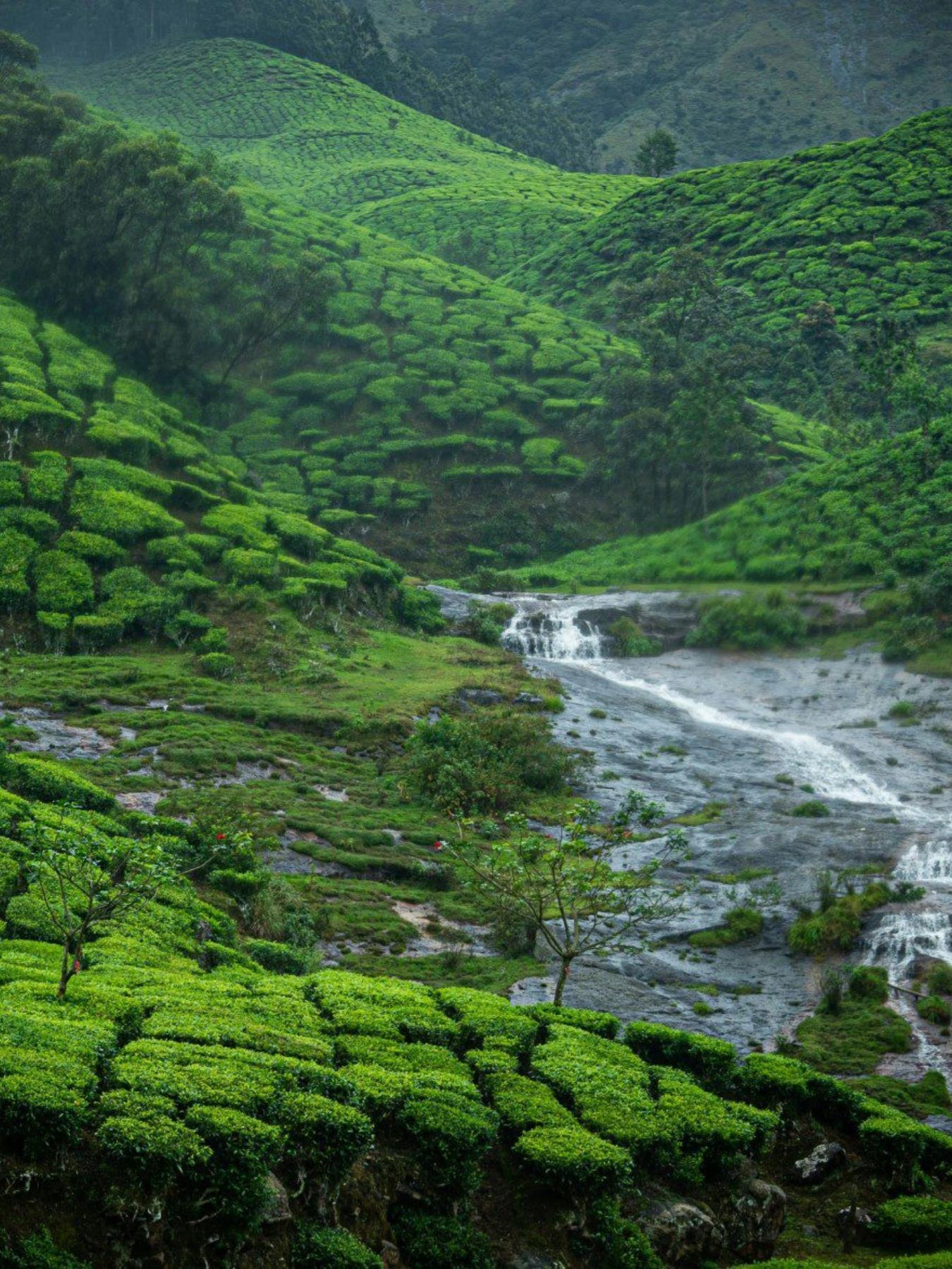 भारत के 15 खूबसूरत हिल स्टेशन और प्राकृतिक स्थल जहां मिलेगा सुकून और शानदार नजारा
